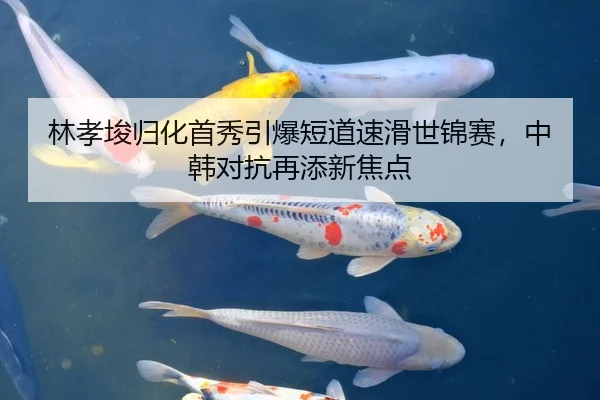 林孝埈归化首秀引爆短道速滑世锦赛，中韩对抗再添新焦点