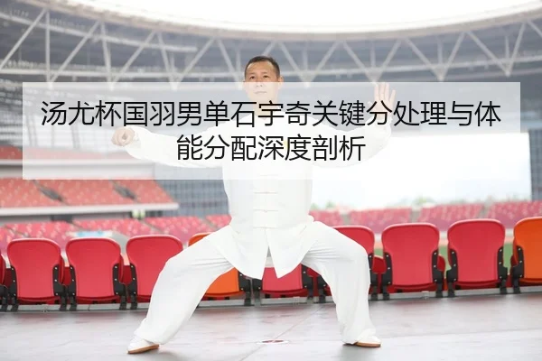tang-you-bei-guo-yu-nan-dan-shi-yu-qi-guan-jian-fen-chu-li-yu-ti-neng-fen-pei-shen-du-pou-xi-3-705.jpg