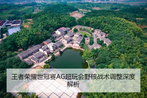 王者荣耀世冠赛AG超玩会野核战术调整深度解析
