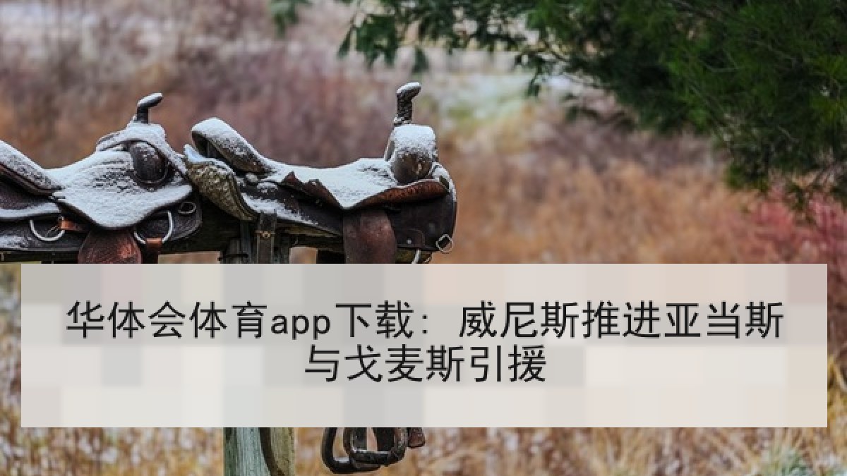 华体会体育app下载: 威尼斯推进亚当斯与戈麦斯引援