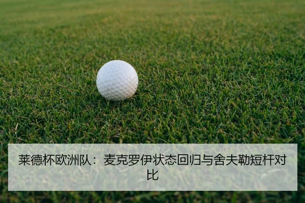 lai-de-bei-ou-zhou-dui-mai-ke-luo-yi-zhuang-tai-hui-gui-yu-she-fu-lei-duan-gan-dui-bi-2-385.jpg