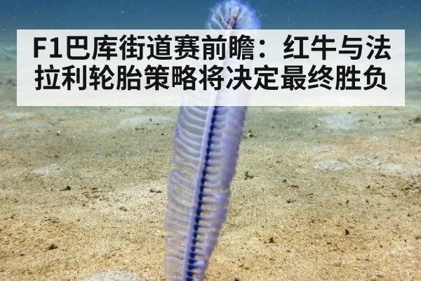 F1巴库街道赛前瞻：红牛与法拉利轮胎策略将决定最终胜负